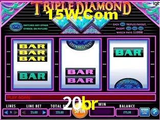 20br
